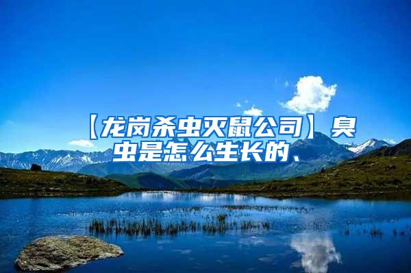 【龍崗殺蟲滅鼠公司】臭蟲是怎么生長的、