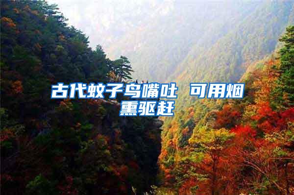古代蚊子鳥(niǎo)嘴吐 可用煙熏驅(qū)趕