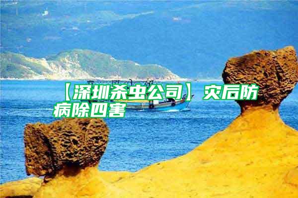 【深圳殺蟲公司】災(zāi)后防病除四害