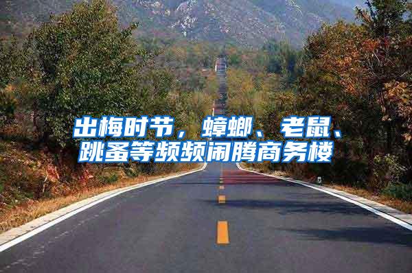 出梅時節(jié)，蟑螂、老鼠、跳蚤等頻頻鬧騰商務(wù)樓