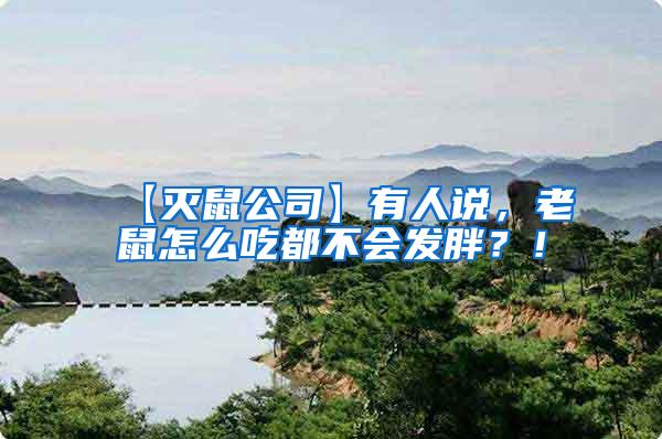 【滅鼠公司】有人說(shuō)，老鼠怎么吃都不會(huì)發(fā)胖？！
