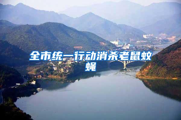 全市統(tǒng)一行動(dòng)消殺老鼠蚊蠅