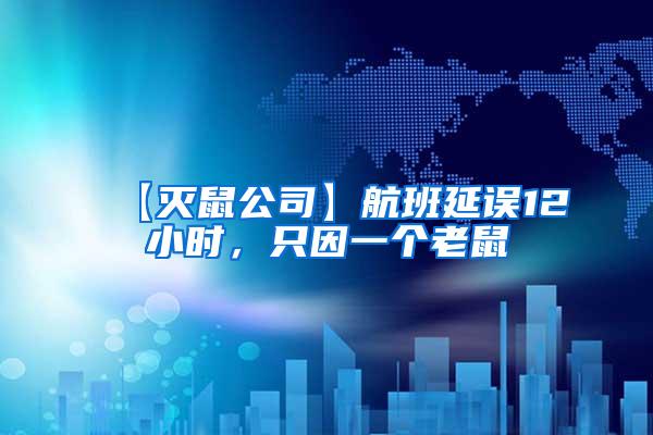 【滅鼠公司】航班延誤12小時，只因一個老鼠