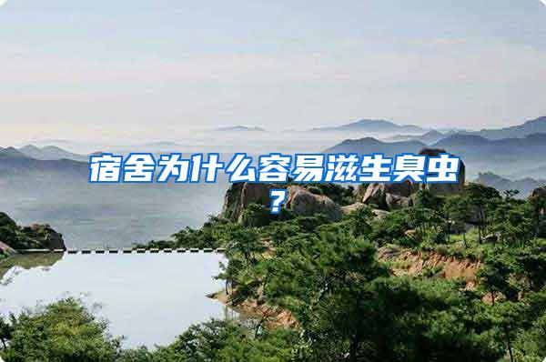 宿舍為什么容易滋生臭蟲？