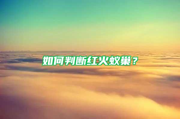如何判斷紅火蟻巢？