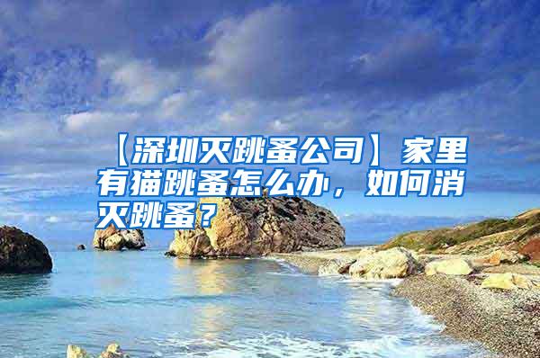 【深圳滅跳蚤公司】家里有貓跳蚤怎么辦，如何消滅跳蚤？