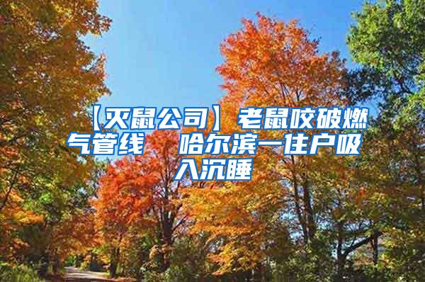 【滅鼠公司】老鼠咬破燃?xì)夤芫€(xiàn)  哈爾濱一住戶(hù)吸入沉睡