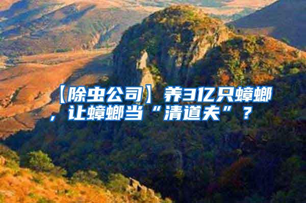【除蟲公司】養3億只蟑螂，讓蟑螂當“清道夫”？