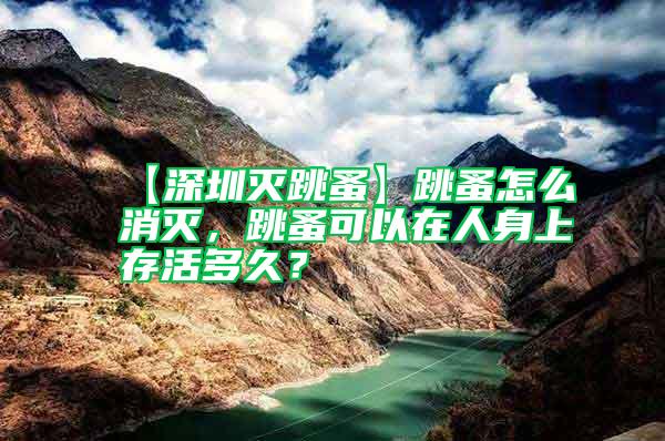 【深圳滅跳蚤】跳蚤怎么消滅，跳蚤可以在人身上存活多久？