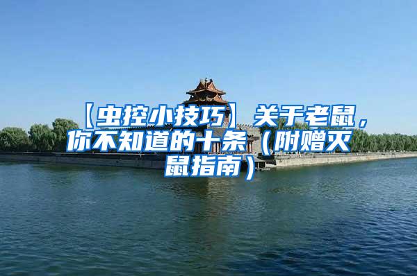【蟲(chóng)控小技巧】關(guān)于老鼠，你不知道的十條（附贈(zèng)滅鼠指南）