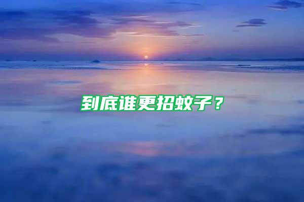 到底誰更招蚊子？