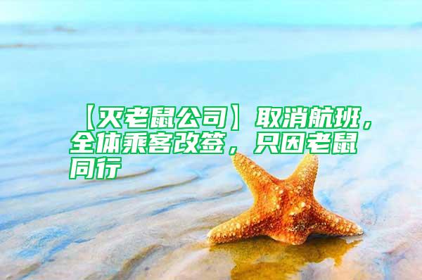 【滅老鼠公司】取消航班，全體乘客改簽，只因老鼠同行