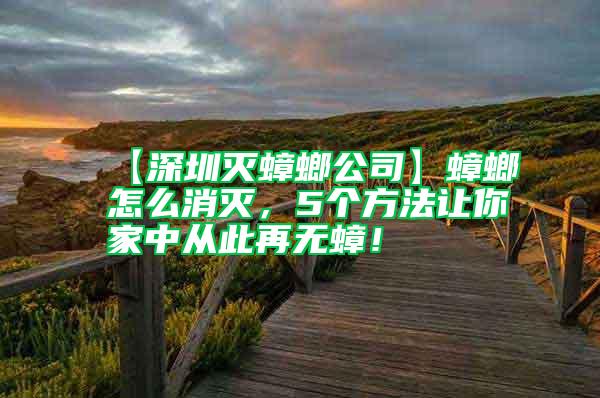 【深圳滅蟑螂公司】蟑螂怎么消滅，5個(gè)方法讓你家中從此再無蟑！