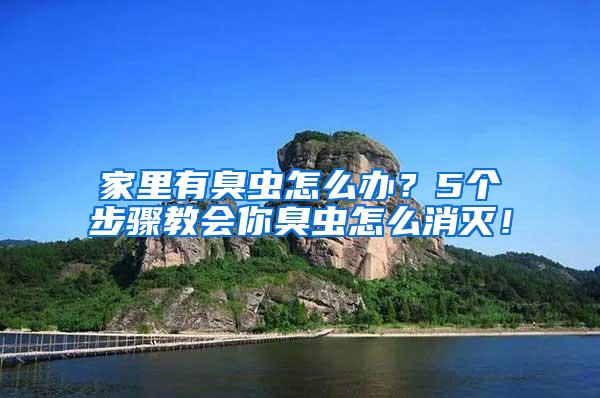 家里有臭蟲怎么辦？5個步驟教會你臭蟲怎么消滅！