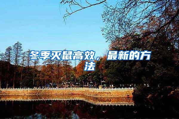 冬季滅鼠高效，最新的方法