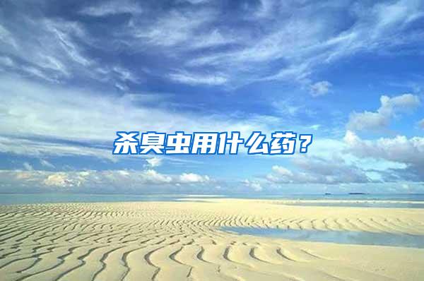 殺臭蟲用什么藥？