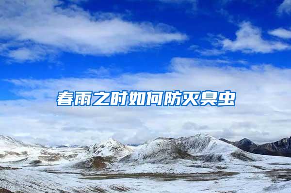 春雨之時(shí)如何防滅臭蟲
