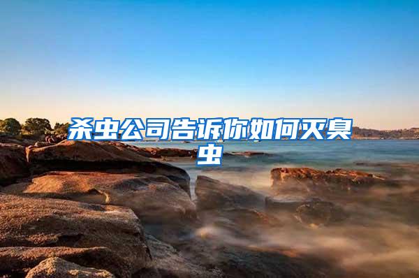 殺蟲(chóng)公司告訴你如何滅臭蟲(chóng)
