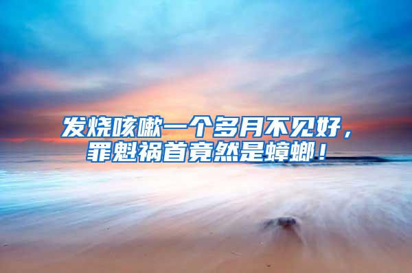 發燒咳嗽一個多月不見好，罪魁禍首竟然是蟑螂！