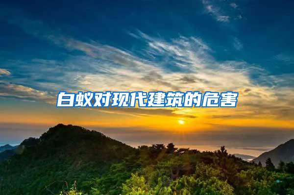 白蟻對(duì)現(xiàn)代建筑的危害