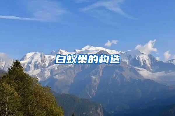 白蟻巢的構(gòu)造