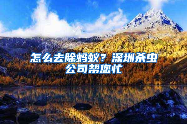 怎么去除螞蟻？深圳殺蟲公司幫您忙