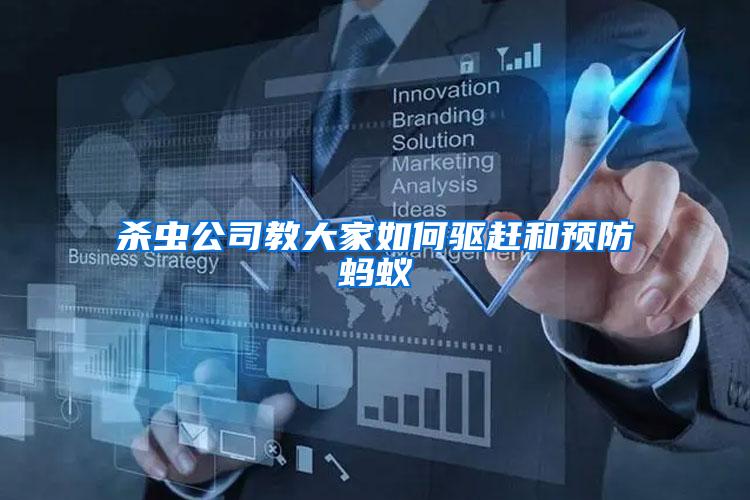 殺蟲(chóng)公司教大家如何驅(qū)趕和預(yù)防螞蟻