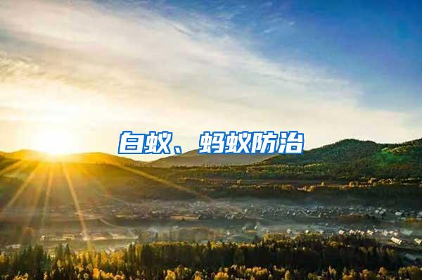 白蟻、螞蟻防治
