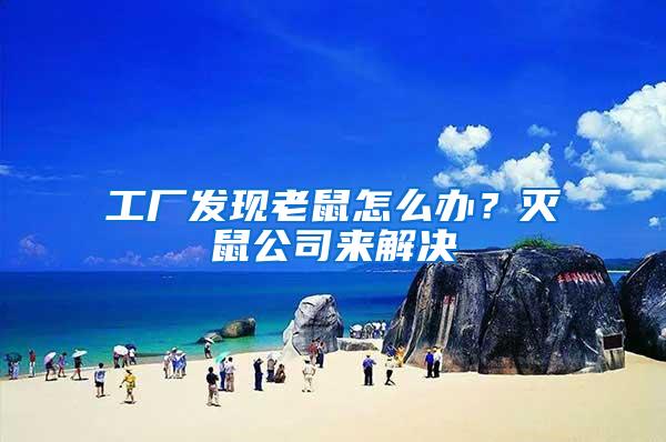 工廠發(fā)現(xiàn)老鼠怎么辦？滅鼠公司來(lái)解決
