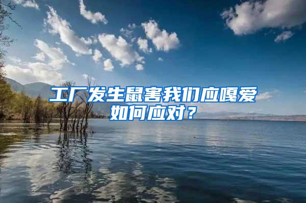 工廠發生鼠害我們應嘎愛如何應對？