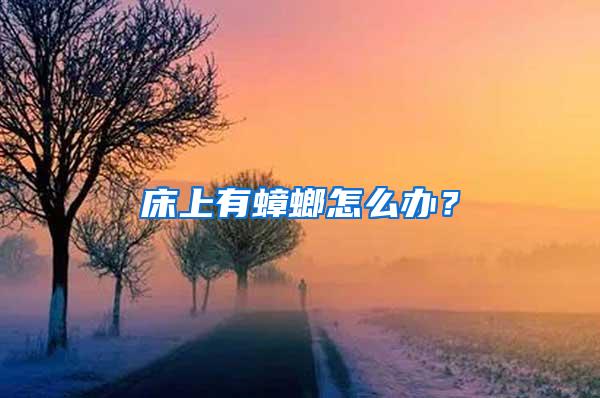 床上有蟑螂怎么辦？