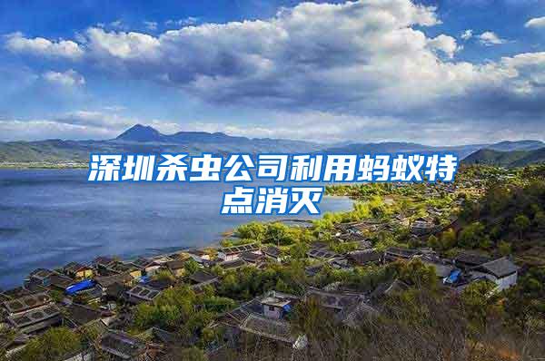 深圳殺蟲(chóng)公司利用螞蟻特點(diǎn)消滅