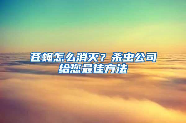 蒼蠅怎么消滅？殺蟲公司給您最佳方法