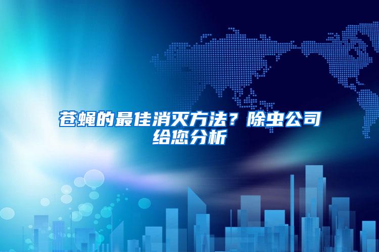 蒼蠅的最佳消滅方法？除蟲公司給您分析