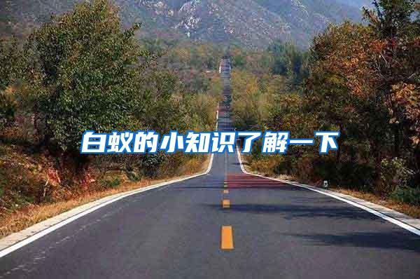 白蟻的小知識(shí)了解一下