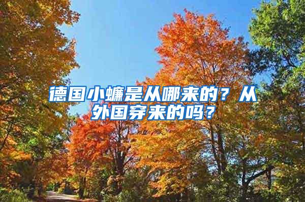 德國(guó)小蠊是從哪來(lái)的？從外國(guó)穿來(lái)的嗎？