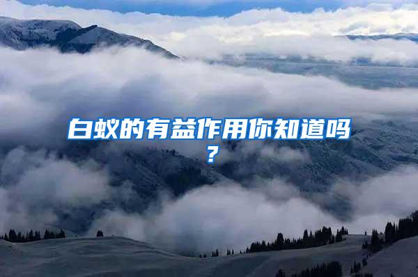 白蟻的有益作用你知道嗎？