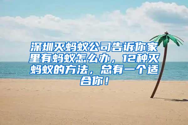 深圳滅螞蟻公司告訴你家里有螞蟻怎么辦，12種滅螞蟻的方法，總有一個適合你！