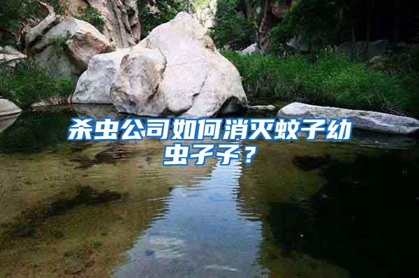 殺蟲公司如何消滅蚊子幼蟲孑孓？