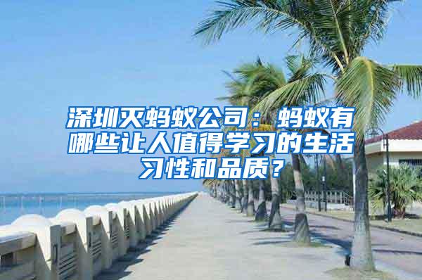 深圳滅螞蟻公司：螞蟻有哪些讓人值得學習的生活習性和品質？