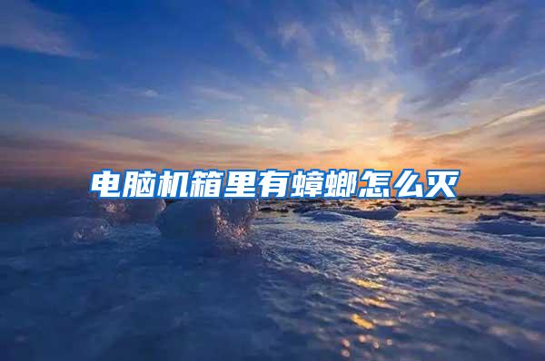 電腦機(jī)箱里有蟑螂怎么滅