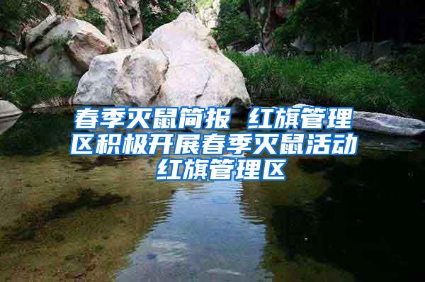 春季滅鼠簡報(bào) 紅旗管理區(qū)積極開展春季滅鼠活動(dòng) 紅旗管理區(qū)