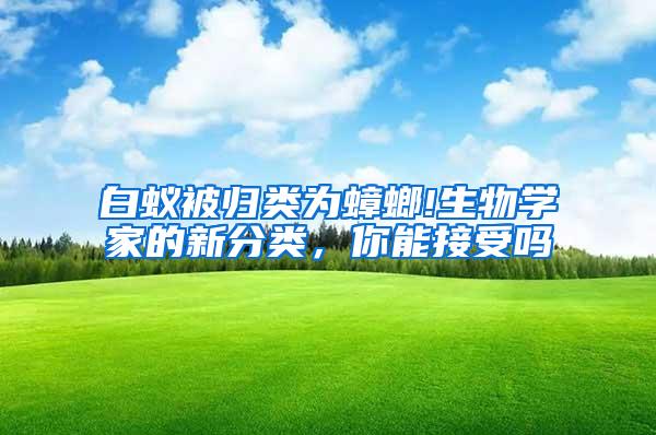 白蟻被歸類為蟑螂!生物學家的新分類，你能接受嗎