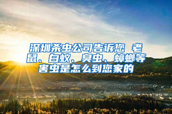 深圳殺蟲公司告訴您 老鼠、白蟻、臭蟲、蟑螂等害蟲是怎么到您家的