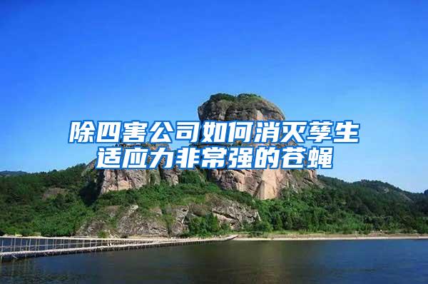 除四害公司如何消滅孳生適應(yīng)力非常強(qiáng)的蒼蠅