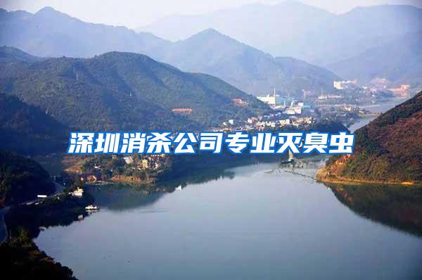 深圳消殺公司專業(yè)滅臭蟲(chóng)