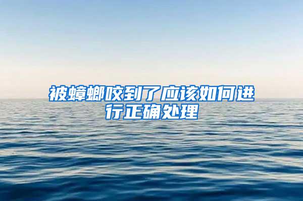 被蟑螂咬到了應(yīng)該如何進行正確處理