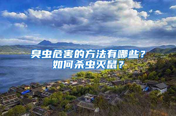 臭蟲危害的方法有哪些？如何殺蟲滅鼠？