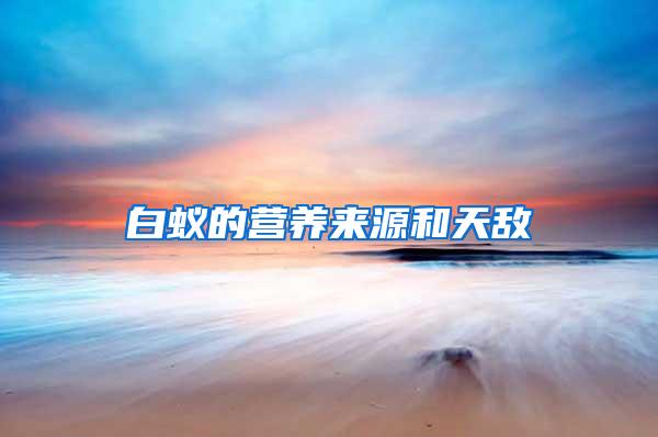白蟻的營(yíng)養(yǎng)來(lái)源和天敵