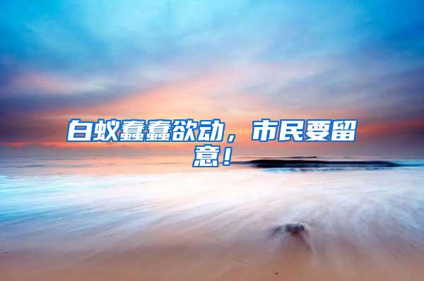白蟻蠢蠢欲動，市民要留意！